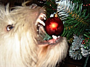 El perro y los adornos de navidad