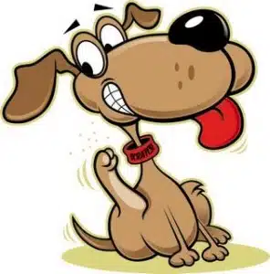 Tipos De Parásitos Externos En Mascotas
