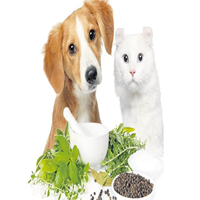 Hierbas medicinales para perros