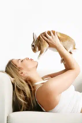 Cómo Entrenar A Tu Conejo