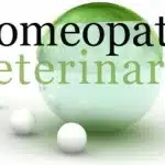 Homeopatia Para Perros