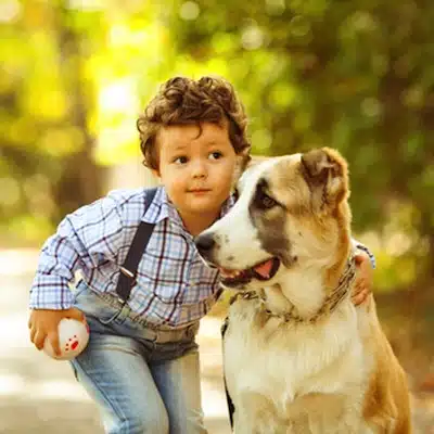 Cómo socializar tu Perro