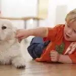 La Relacion Entre Perros Y Ninos