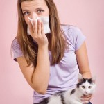 Cómo evitar la alergia a las Mascotas