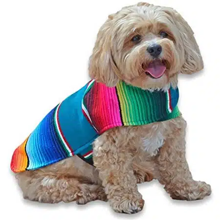 Cosas que tu Perro no Soporta