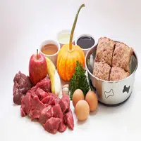 Dieta para perros