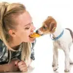 Recetas Rápidas Y Sanas Para Tu Mascota