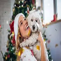 Cómo cuidar tu Mascota en Navidad
