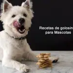 Recetas de golosinas para Mascotas Recetas De Golosinas Para Mascotas