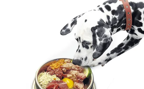Dieta Barf para perros