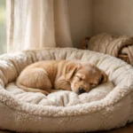 Cuidado de cachorros en sus primeros días