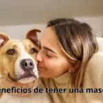 Beneficios de tener una mascota