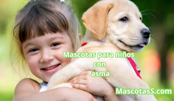Mascotas Para Niños Con Asma