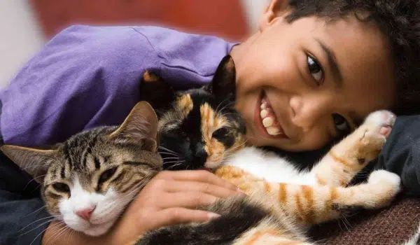 Mascotas recomendadas para niños Mascotas Recomendadas Para Niños