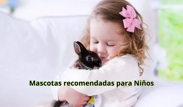 Mascotas recomendadas para niños Mascotas Recomendadas Para Ninos