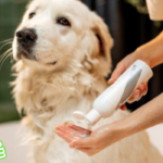 Shampoo casero para perros con dermatitis