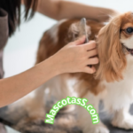 Tratamiento casero para perros con sarna