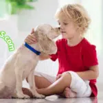 Mascotas para niños de 10 a 12 años