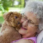 Mejor mascota para ancianos
