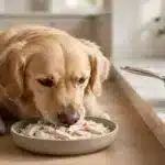 Dieta para perros con diarrea